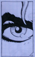 Oog