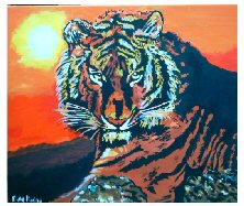 Tijger