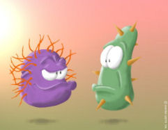 Virus
