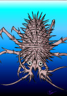 Anthropodea